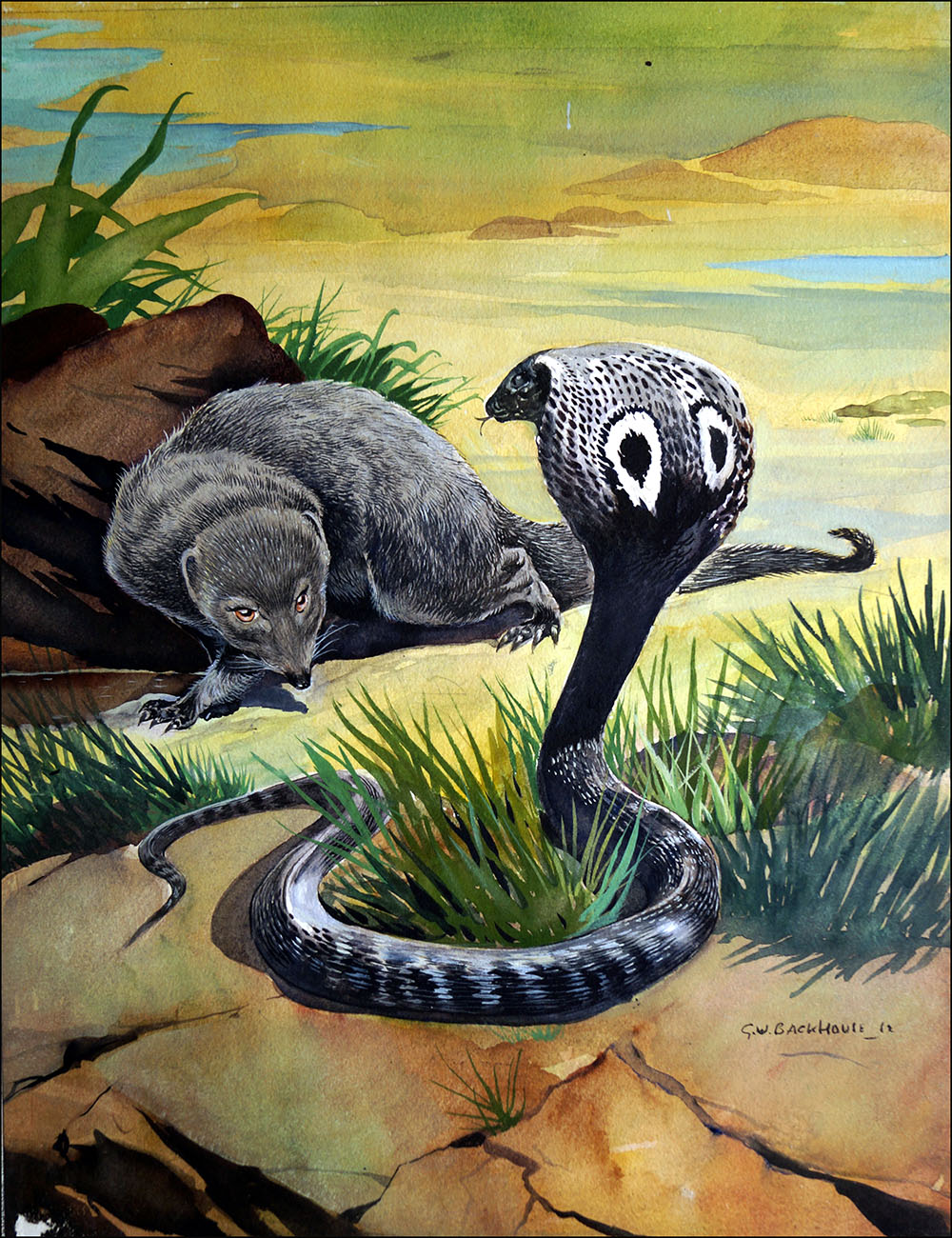 Mongoose Versus Cobra (Original) (Signed) art by G W Backhouse Art at The Illustration Art Gallery