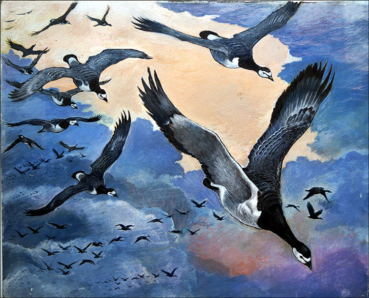 Migrating Geese (Original) by G W Backhouse Art at The Illustration Art Gallery
