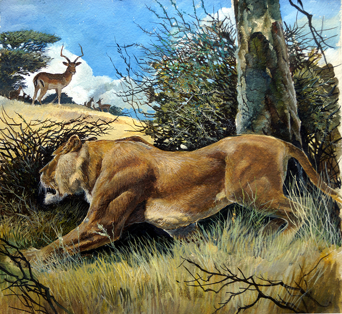 Law of the Wild (Original) art by G W Backhouse Art at The Illustration Art Gallery
