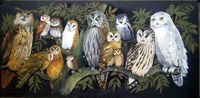 Thrirteen Owls art by Jack Chalkey