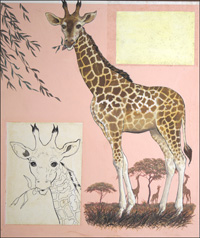 The Giraffe (Original)