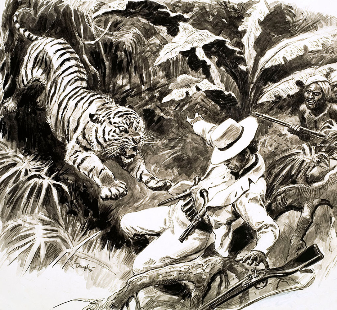 Tiger Attacking Hunter (Original) (Signed) art by Cecil Doughty Art at The Illustration Art Gallery