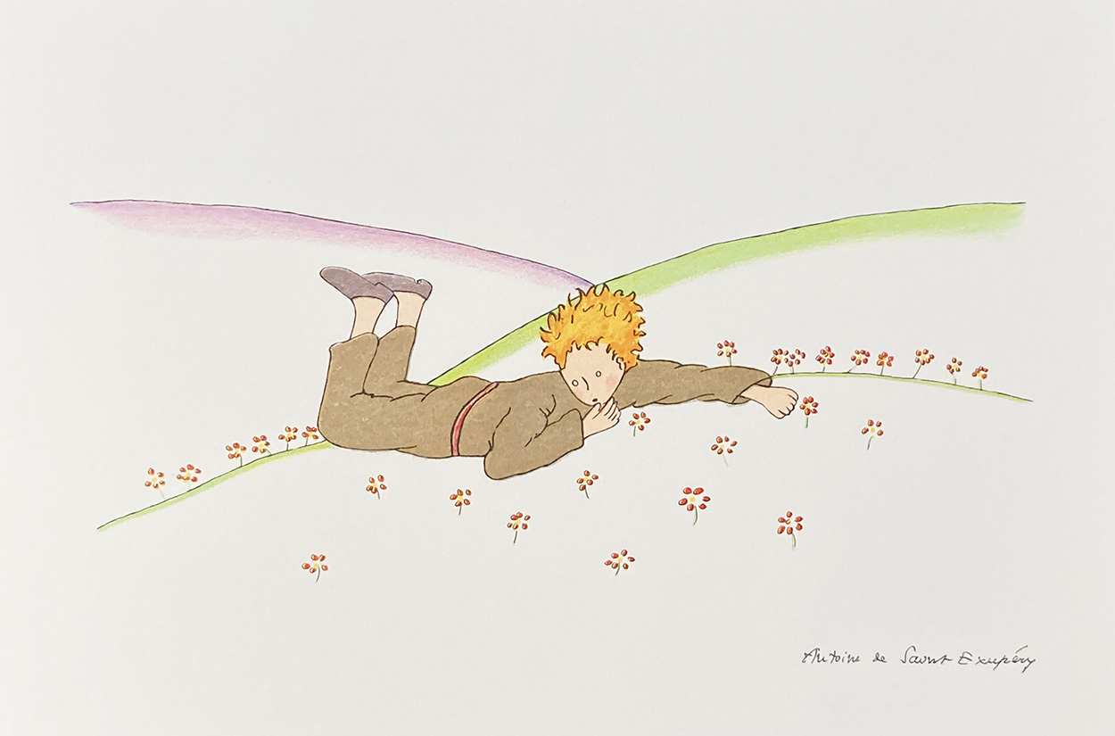 The Little Prince lying on the grass (Limited Edition Print) art by Antoine de Saint Exupery Art at The Illustration Art Gallery