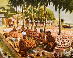 Preparing Copra in Ceylon (Original Macmillan Poster) (Print)