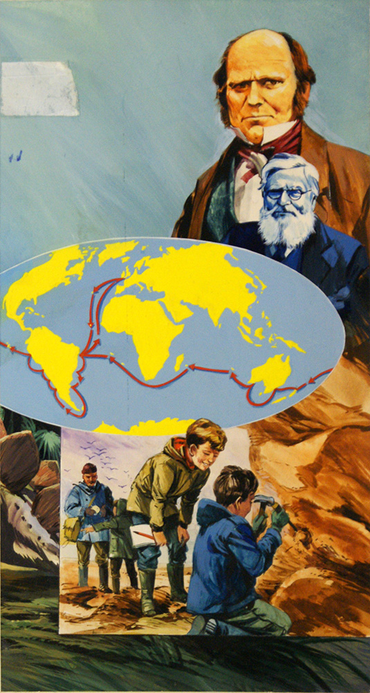 Charles Darwin, Alfred Wallace and Evolution (Original) art by Harry Green Art at The Illustration Art Gallery