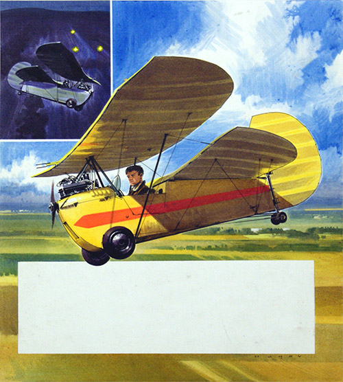 The Flying Flea (Original) (Signed) by Air (Wilf Hardy) at The Illustration Art Gallery