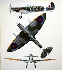 RAF Spitfire (Original) (Signed)