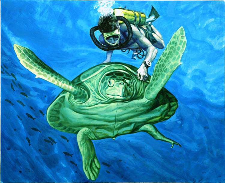 Sea Turtle and Diver (Original) by Andrew Howat at The Illustration Art Gallery