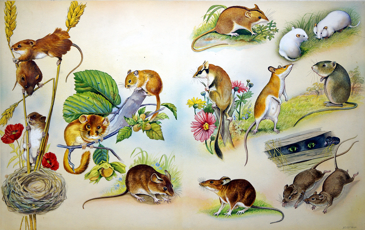 All Sorts of Mice (Original) (Signed) art by Bert Illoss at The Illustration Art Gallery