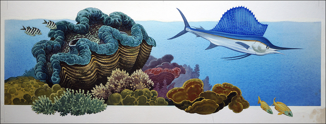Giant Clam and Sailfish (Original) art by Bernard Long Art at The Illustration Art Gallery