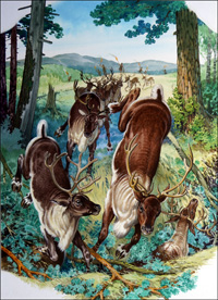 Reindeer Hunt (Original)