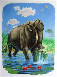 The Elephants Ancestor (Original)