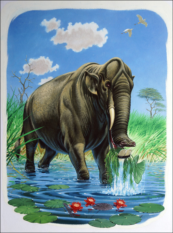 The Elephants Ancestor (Original) by Bernard Long Art at The Illustration Art Gallery