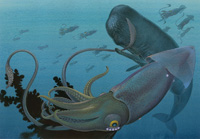 Sperm Whale and Giant Squid (Original)