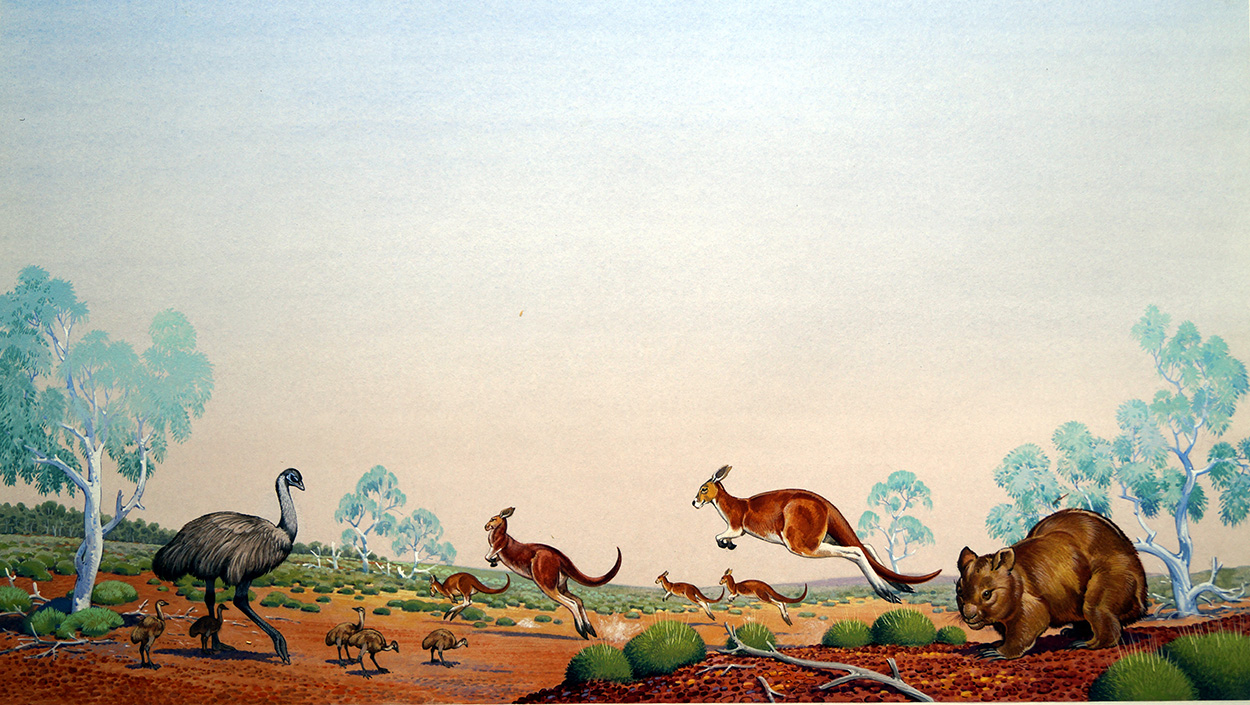 Animals of the Australian Outback (Original) art by Bernard Long Art at The Illustration Art Gallery