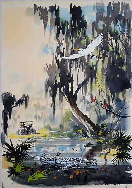 The Beautiful Swamp (Original) by John Worsley Art at The Illustration Art Gallery